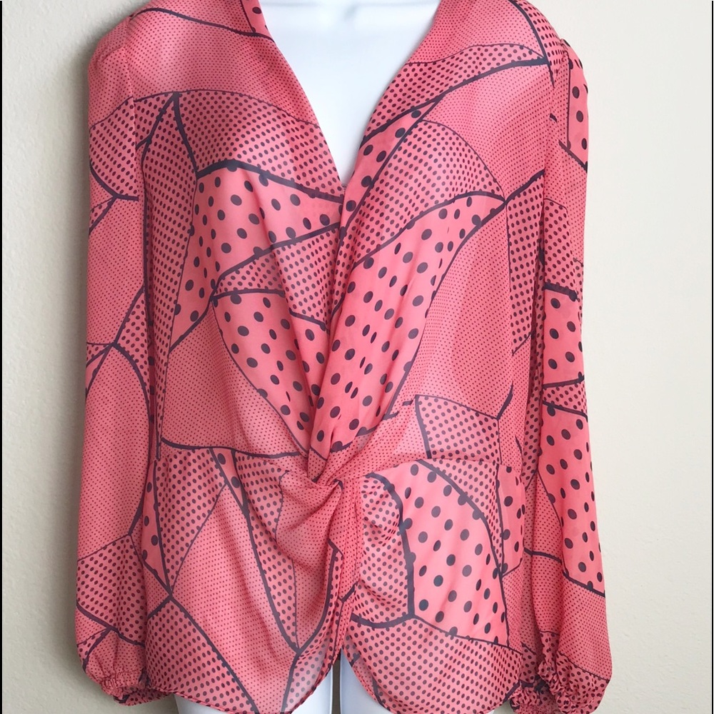 Bisou Bisou Sheer Long Sleeve VNeck Blouse